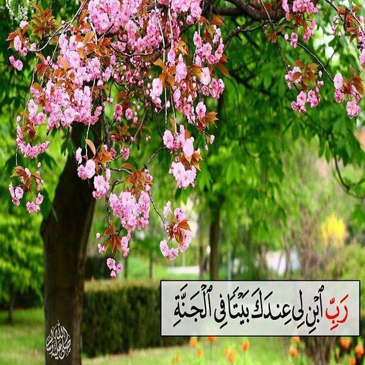 #اللهم ارزقنا خیر ما عندک ب اسواء ما عندنا #قروب_لاتبالي_للدعم