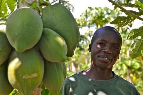 agrifoodaid's tweet photo. Addressing #foodsecurity &amp; #climatechange with #agroforestry, what are the policy options? https://t.co/d08W3OXVYM https://t.co/yOeUKAgz4X