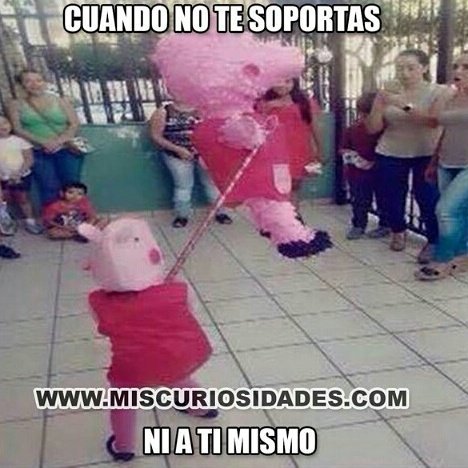 tipicochilenoCL's tweet image. 