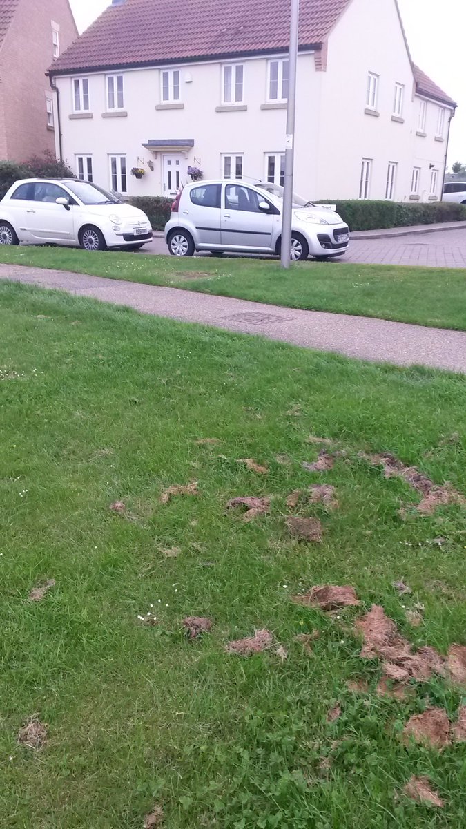 Oxley Parker (oxleyparker) Twitter