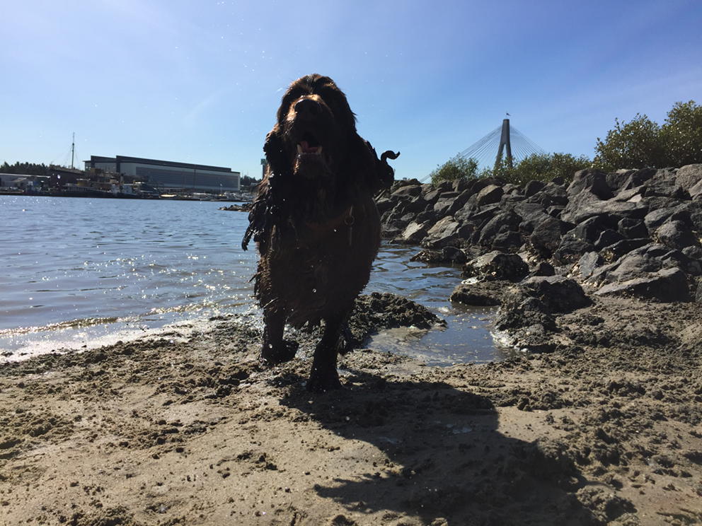 Happy_Pets_'s tweet photo. Fish outta water! #Eddy. E :) https://t.co/N99iPl5lJ8