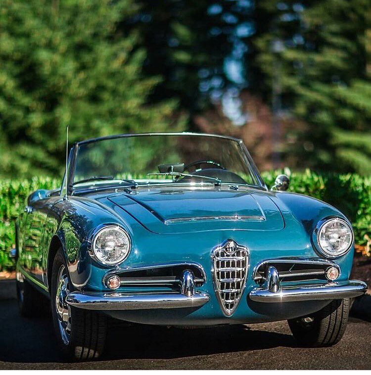 SouthwoodCars's tweet photo. #alfaromeo #giuliaspider beautiful car and unusual to see one in 'bluette' #rare https://t.co/RwqG2zUH3x