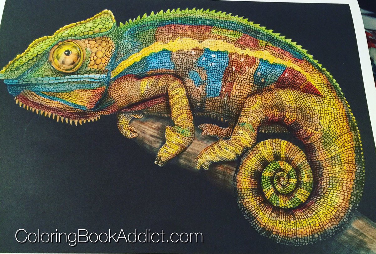 ColoringAddicts's tweet image. This weeks #coloring. Lots of critters this week ;) #coloringbookaddict