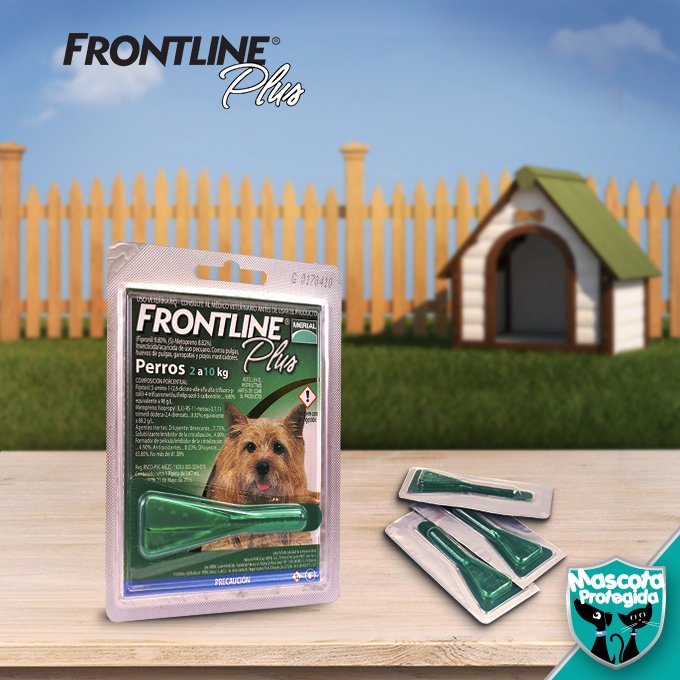 MascotaPro's tweet image. Una mascota feliz es una que no se razca. Protége a tu #mascota contra #pulgasygarrapatas con #FRONTLINEPLUS