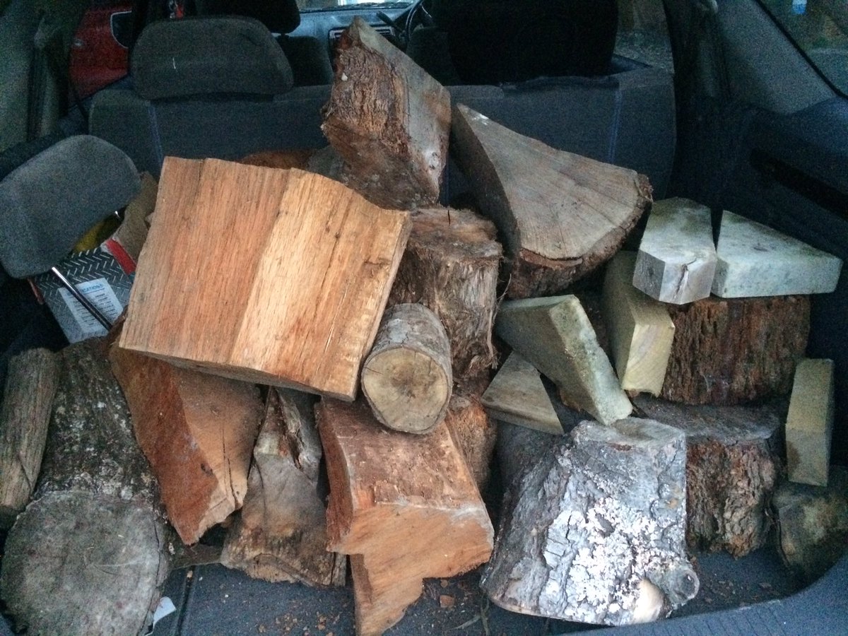 LaurenMichela1's tweet image. Very thankful to a friend for a #bootload of wood to keep us going! 🔥