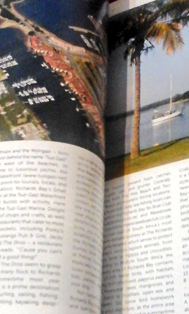 Coastal mix. #travelfeature #RichardsBay #KZN #IndweMagazine