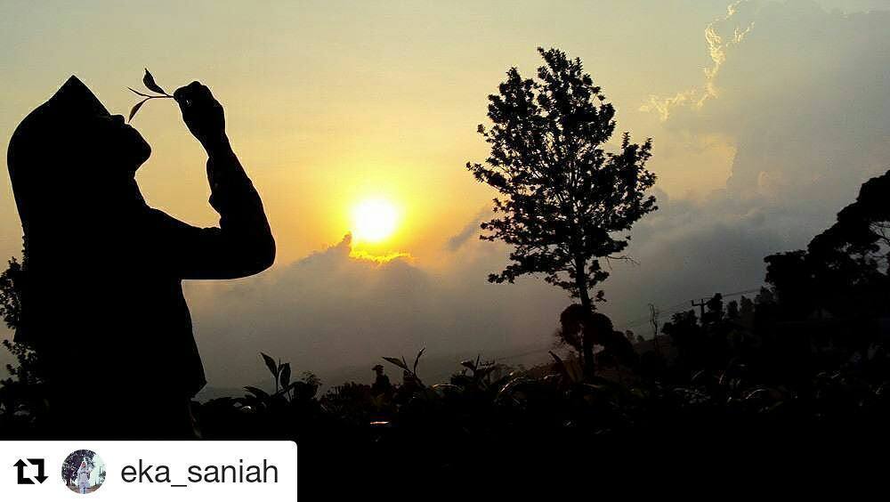 #Repost @eka_saniah with <a href="/repostapp/">Repost</a>
・・・
Terkadang disaat sendirilah kita bisa merenung mem… ift.tt/2aPxfmg