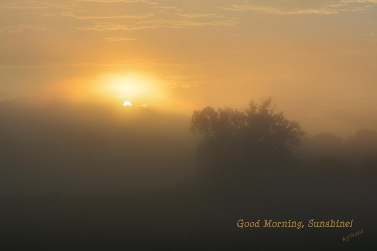 foodsheds's tweet photo. Good Morning, Sunshine!  Another #AugustFog on the #FrenchBroad! https://t.co/maHW21VHnu