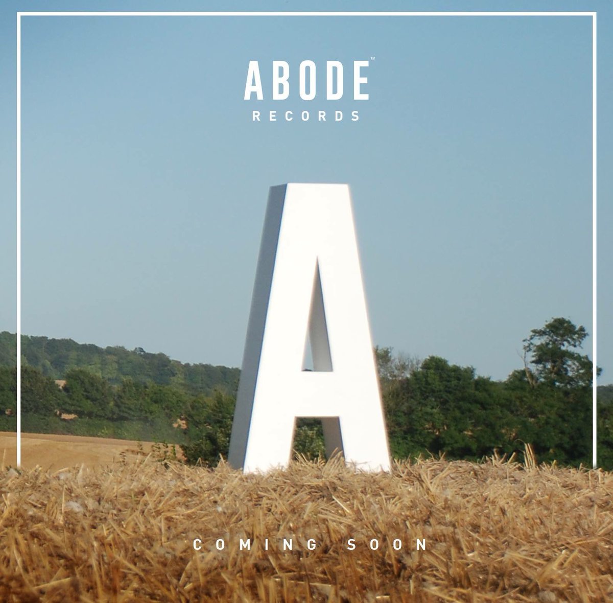 ABODE tweet media