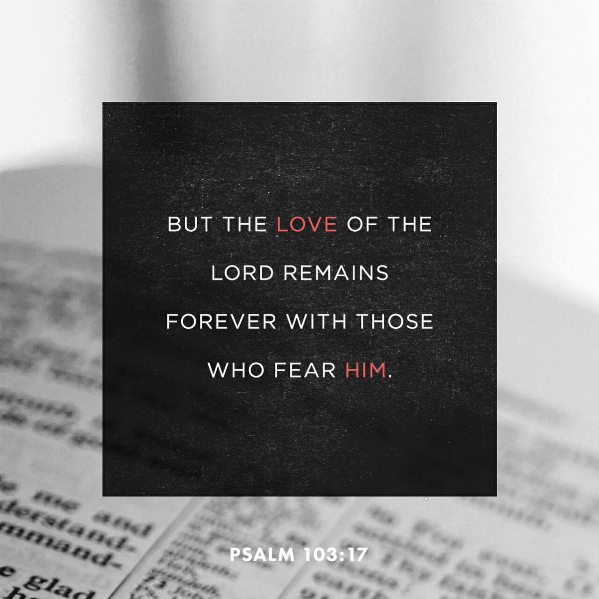 YOUNGPROPHETYP's tweet photo. https://t.co/j4Bf4MKPaF https://t.co/KOXYf8rEvJ