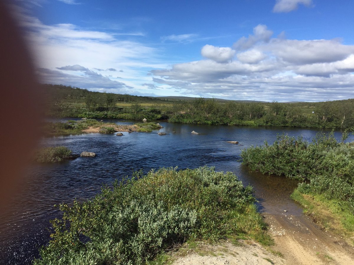 BareFootAleks's tweet photo. 288km done, only 7356km to go! #RunE1Trail @runningadv has been incredible so far
#GetOutside & #Adventure more https://t.co/78zDzdvKMJ
