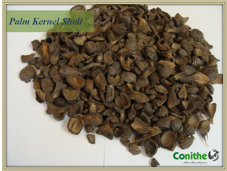 ConitheLimited's tweet image. Palm Kernel Shell | Cake | Oil | Supplier | NEPC Certified from Nigeria @ConitheLimited  #PalmKernelShell #PalmOil