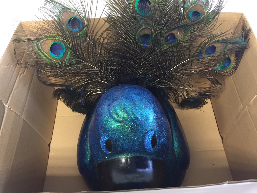 DuckPerryCCN's tweet photo. Boxed up ready to leave home today 😰 #GNDR16 https://t.co/o4DvV8nx9u