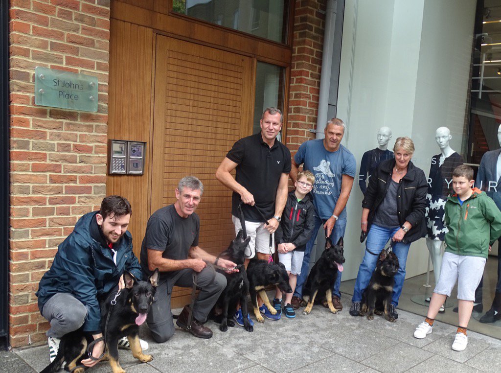 DC_PoliceDogs's tweet photo. Many waking hours spent thinking how to progress Flynn here aged 4 months. Not rushing to re home him yet. Super dog https://t.co/smWqyfnIJl