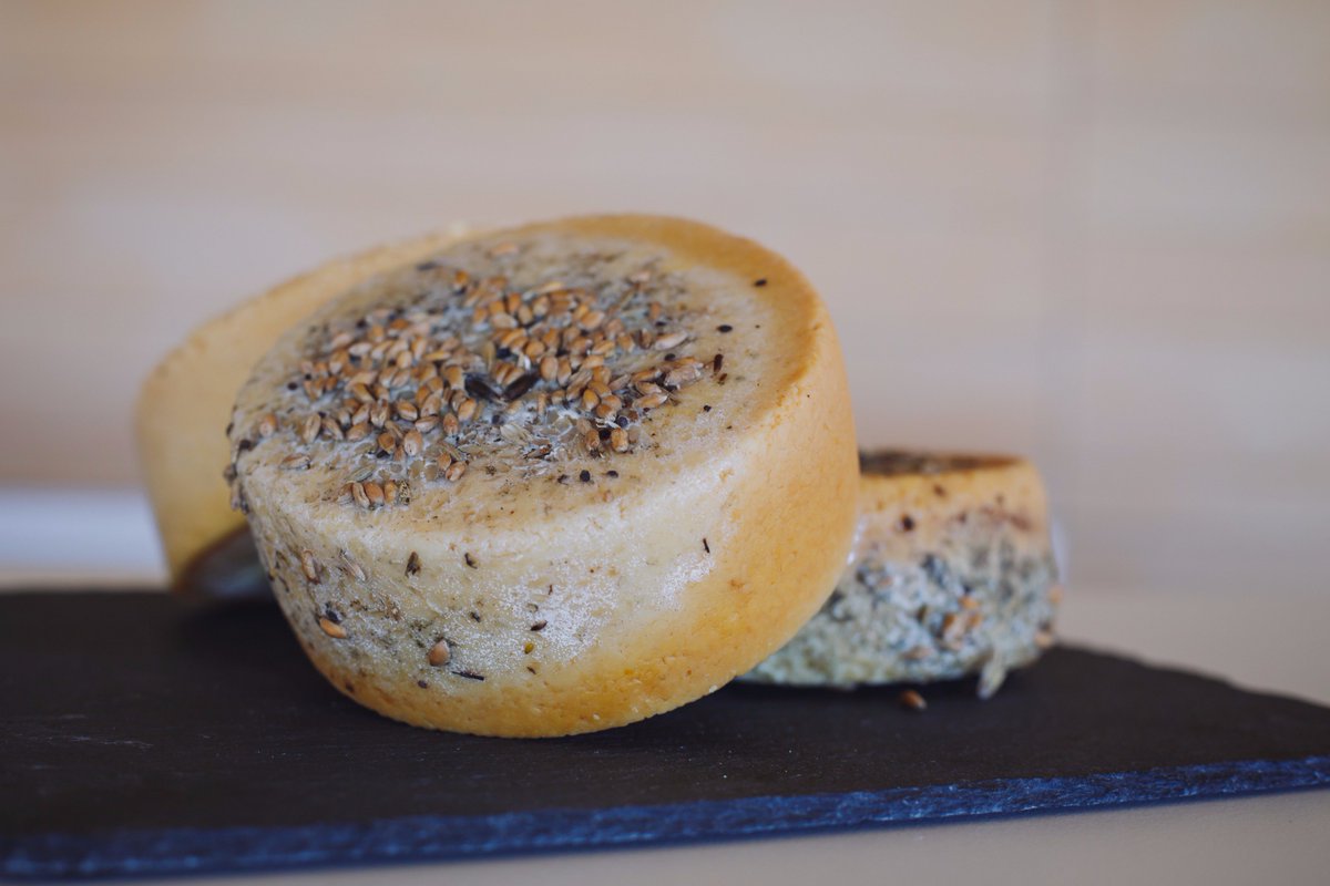 #Istrian #cheese .... present and past ... #taste is the same #CroatiaFullofGastronomy #CroatiaFullofLife