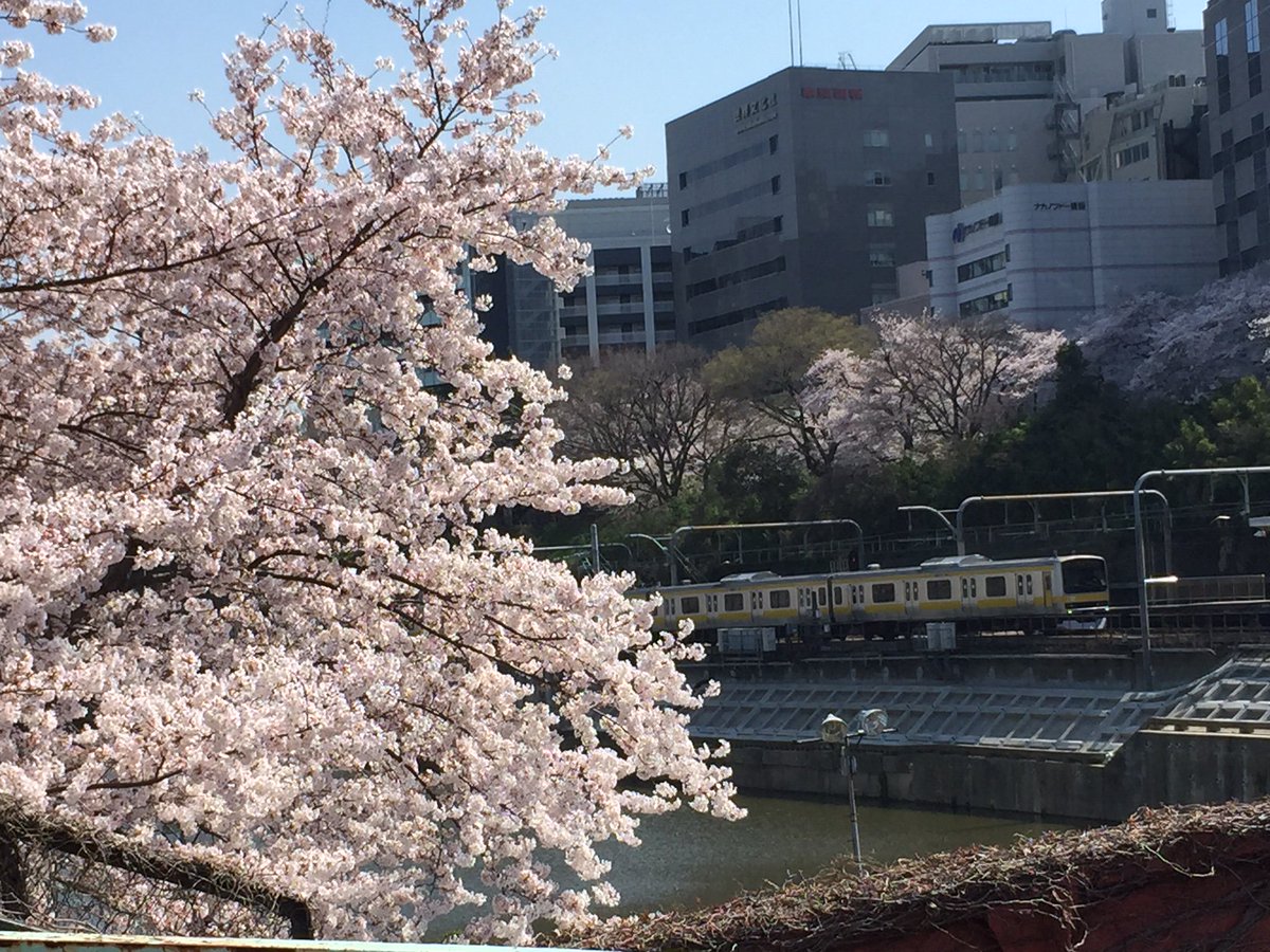 SpringerNature's tweet photo. Today our trip around the #SpringerNatureWorld takes us to #Tokyo!
 @SpringerJapan @SpringerHealth @BioMedCentral https://t.co/PScTX1fwAJ