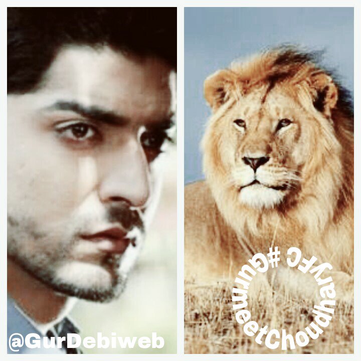 My lion #GurmeetChoudhary <a href="/gurruchoudhary/">GURMEET CHOUDHARY</a> <a href="/imdebina/">debina bon choudhary</a> Love you bestie 😘😘😘😘😘