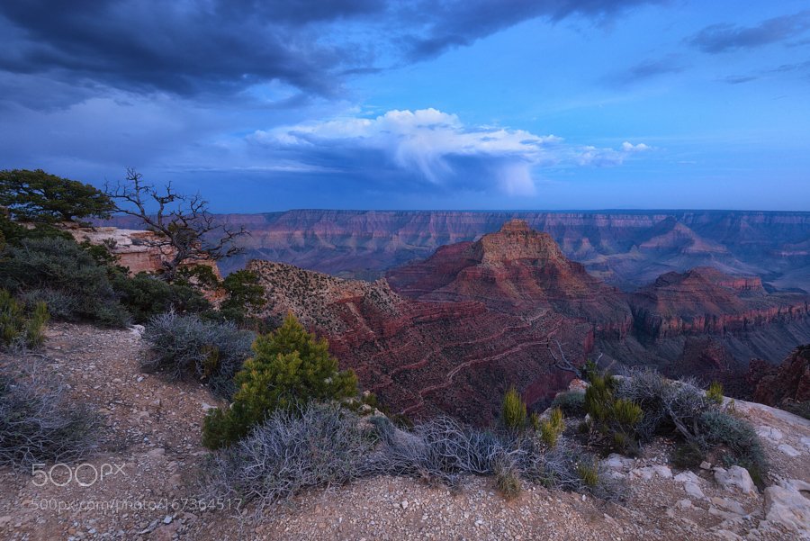 naikyk's tweet image. #travel #photography #landscape #Photography : Quenched by MaxFoster