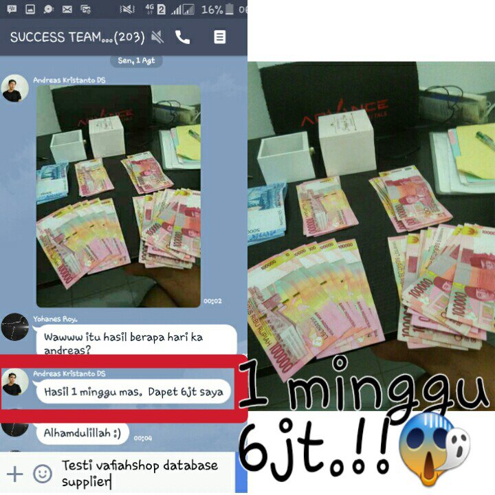 sari_database tweet picture