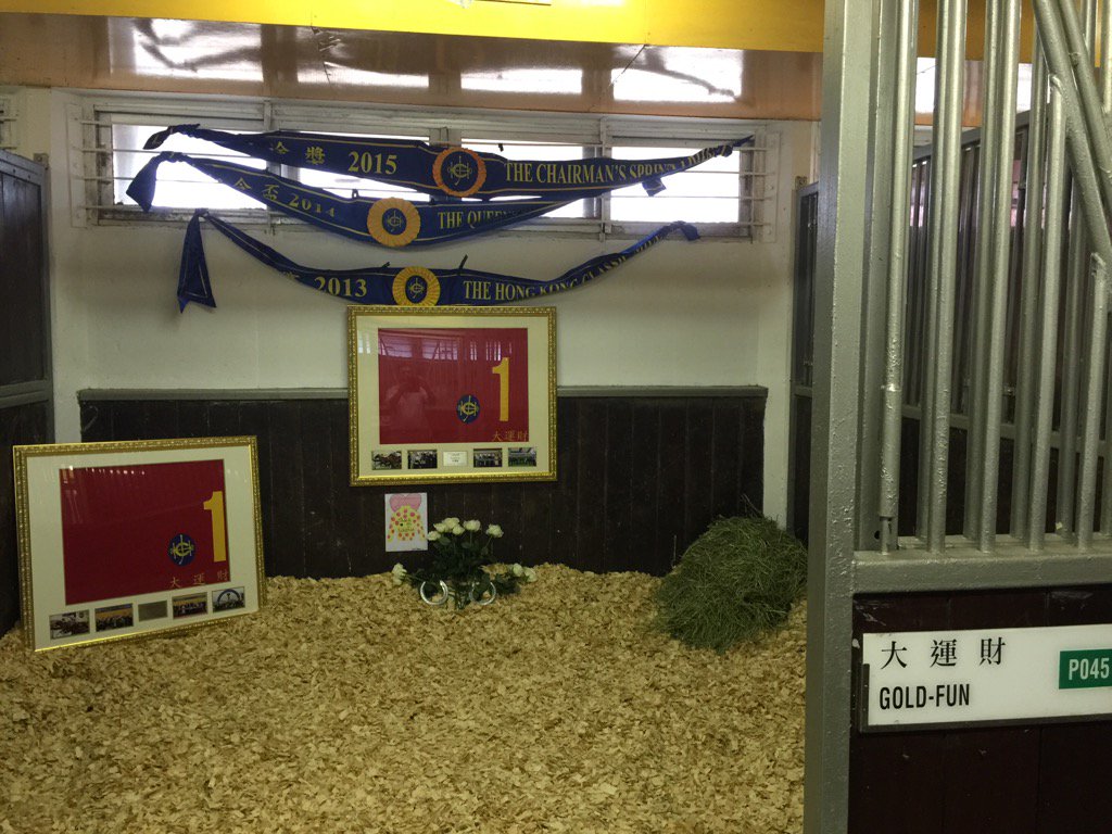 PaulRobHK's tweet photo. Farewell to a very special horse. https://t.co/soqtlXS9f1