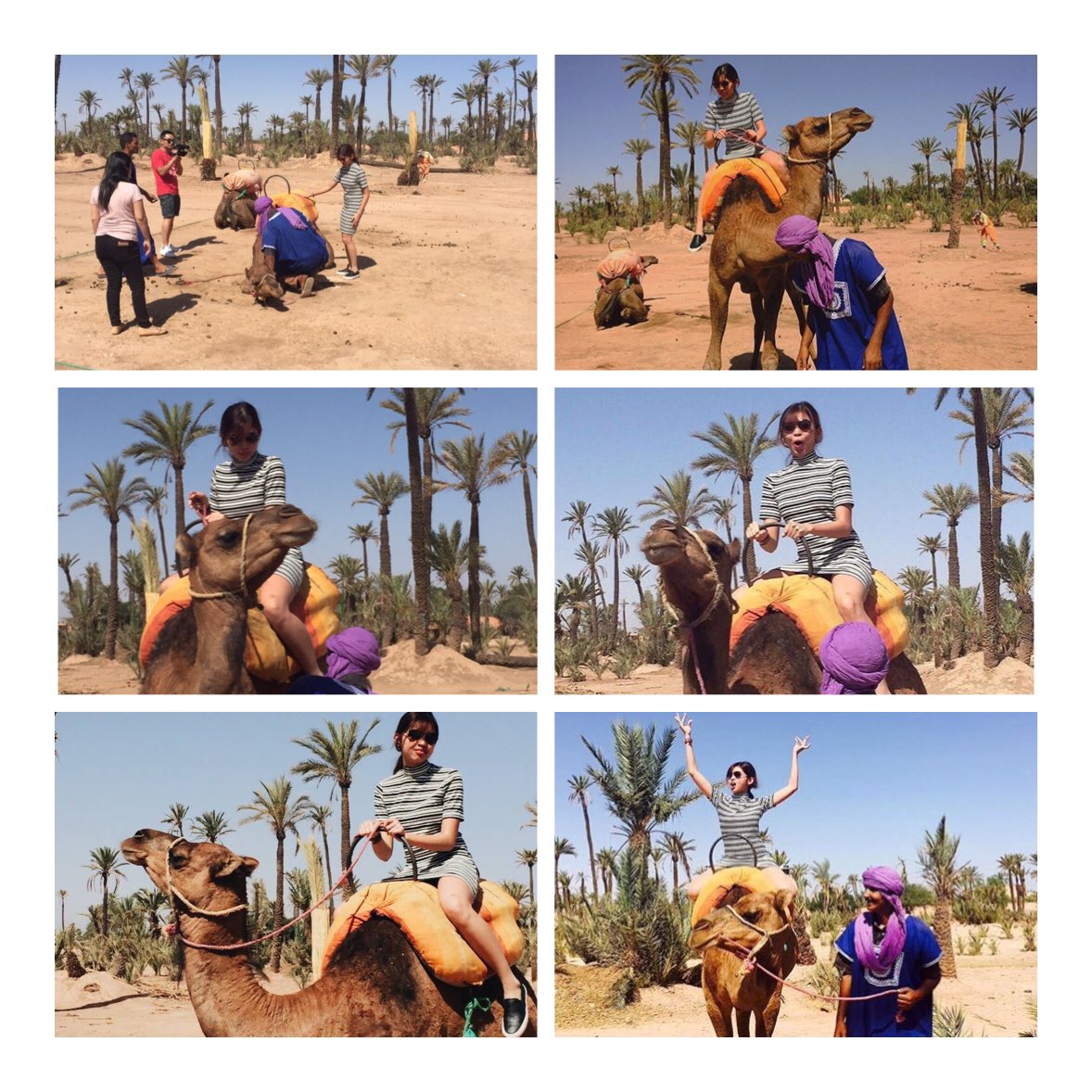 noriegee's tweet photo. The Camel Experience of @mainedcm 😁🐫💕©tto
#ALDUB1Ticket
#MEGANationMoroccoWithAldub https://t.co/t9dEFWUefF