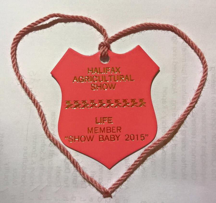 thehalifaxshow's tweet photo. Our 2015 Show Baby has her life member badge! :D #HalifaxShow https://t.co/S6OjBMidFU
