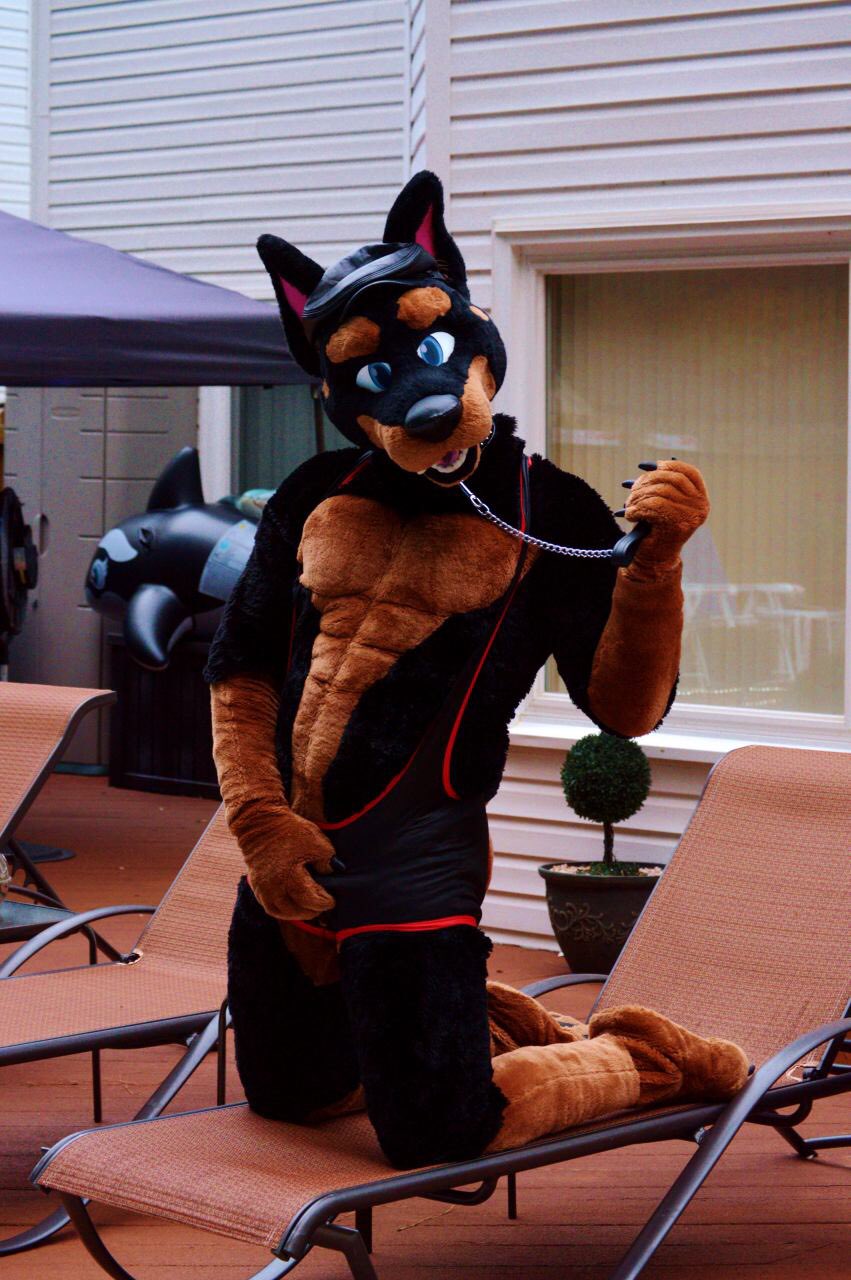 ᶛᴬᵈᵈᵧ Dᵘᵏℰ🥃Dᵒᵇᵉᵣᵐₐᵑ🇩🇪 on Twitter: "#fursuit #FurryFriday pic by