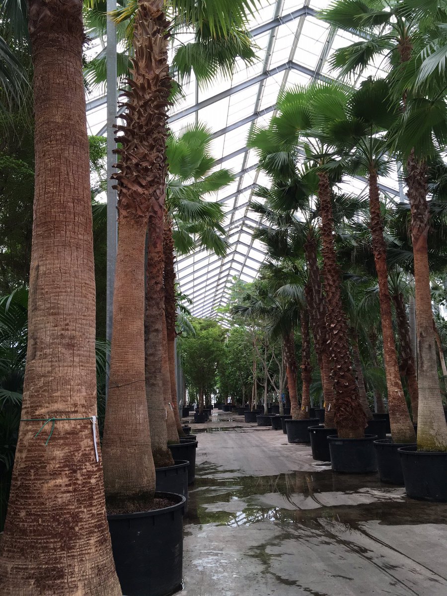 Op bezoek bij <a href="/fachjanbv/">FachjanProjectPlants</a> #kweker, Wat een prachtige plek!