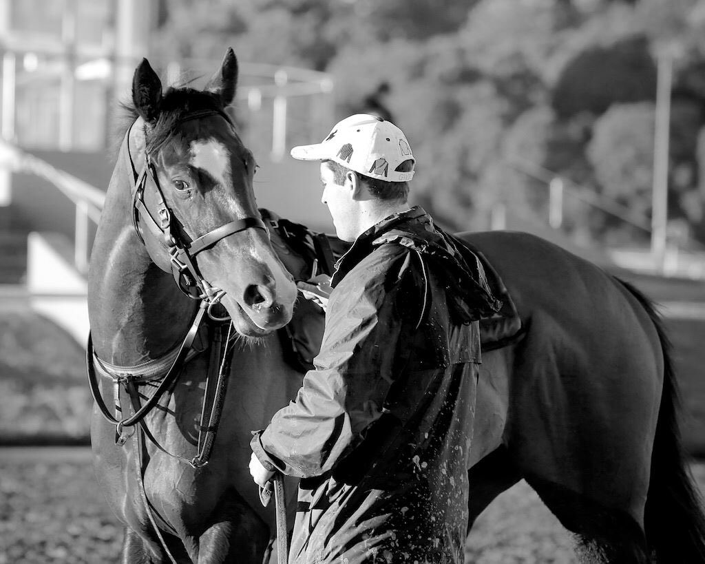 zoutenant's tweet photo. Ready to head to @royalrandwick next Saturday for my return to racing #gothezou https://t.co/ltiwTvWLLi