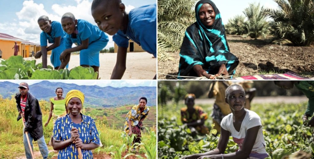 FAO's tweet photo. Young pple can &amp; need to play a leading role in ensuring rural poverty eradication https://t.co/pq8dJkcEb6 #YouthDay https://t.co/sb9l43TROM