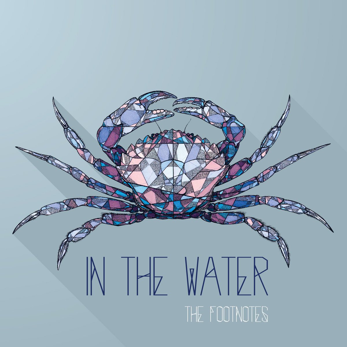 WeAreFootnotes's tweet photo. Nouvel album bientôt disponible ! Un grand merci à #Teuthis et @AntonMusic_fr. https://t.co/Z843yjoyXD