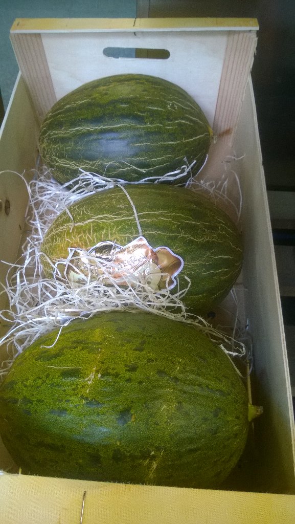 5adayFresh's tweet photo. #5adaystalybridge nice selection of #melons #Galia #Cantaloupe #Green #Melonvert #Spain #White #Melon #Portugal https://t.co/d2v7s4pSI3