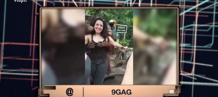 Un orangután le toca los pechos a una turista en un zoo ▶ atres.red/kerrt #toptt