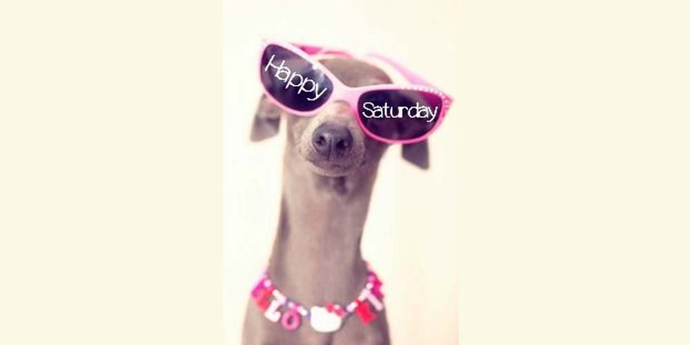 Diabetescouk's tweet photo. GOOD MORNING! Retweet if your feeling those Saturday vibes! #happy #beautiful #diabetes https://t.co/ZpdQps7LdO