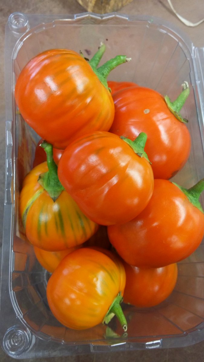 Stainesfarmshop's tweet photo. Answer to yesterdays question, these are little red aubergine ! #whitstable #stainesfarmshop #keepyapoundslocal https://t.co/NhcMPTfW62