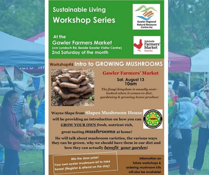 GawlerFarmerMkt's tweet photo. Want to grow your own mushrooms? FREE workshop at Gawler #FarmersMarket 10am this Sat @whatsoninad https://t.co/1OksubwU2s