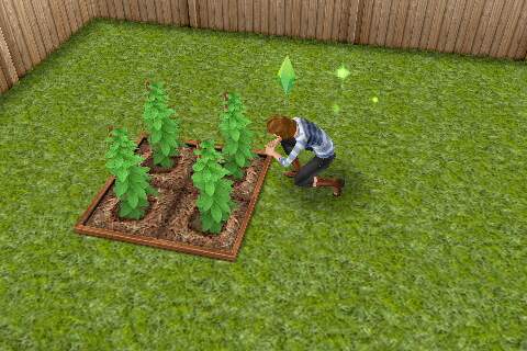 NummieKit's tweet photo. (Okay this my last tweet for tonight)
My sim is gardening https://t.co/W6BPHCHDgl