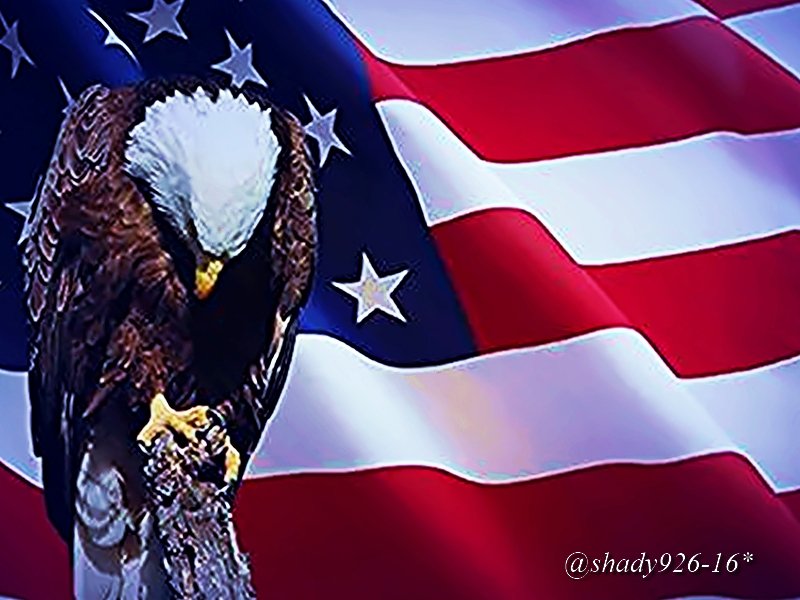Shady926's tweet photo. #TheConstant #OldGloryWavesProud #RomanKicksAss #WeCheerLouderProuder #USA #TitleTheStakes #BringingThataBABYHome https://t.co/DlnYwRS6R2