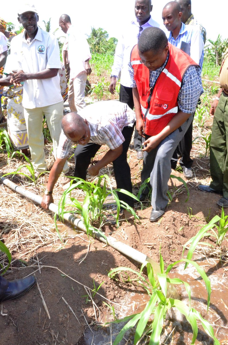 Kilifi Yetu tweet media