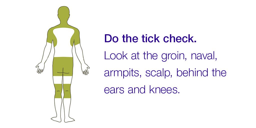 SMDhealthunit's tweet image. After outdoor activities be sure to do the #tickcheck on yourself, family members &amp;amp; pets.