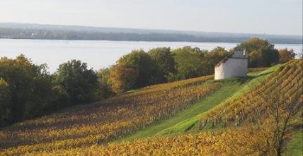 Winesellers, Ltd tweet media