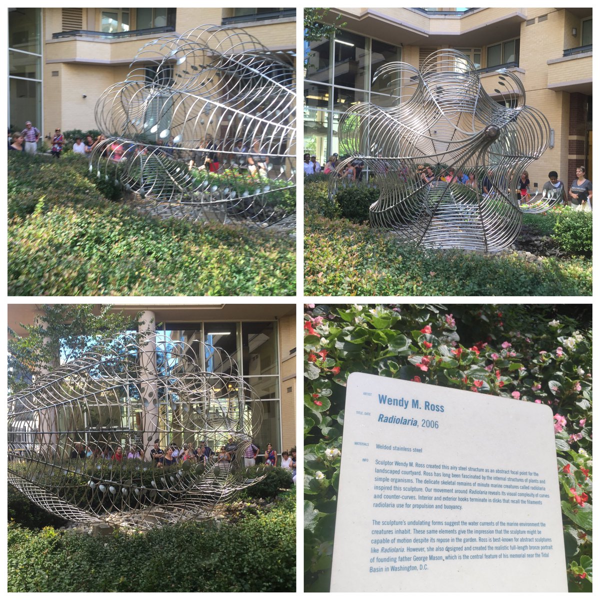 ssarber's tweet image. Radiolaria #APSac2016