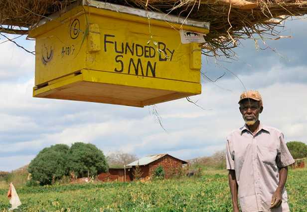 #Emprendedores protegen cultivos locales de los elefantes con abejas! goo.gl/IRqfB3 #innovacion