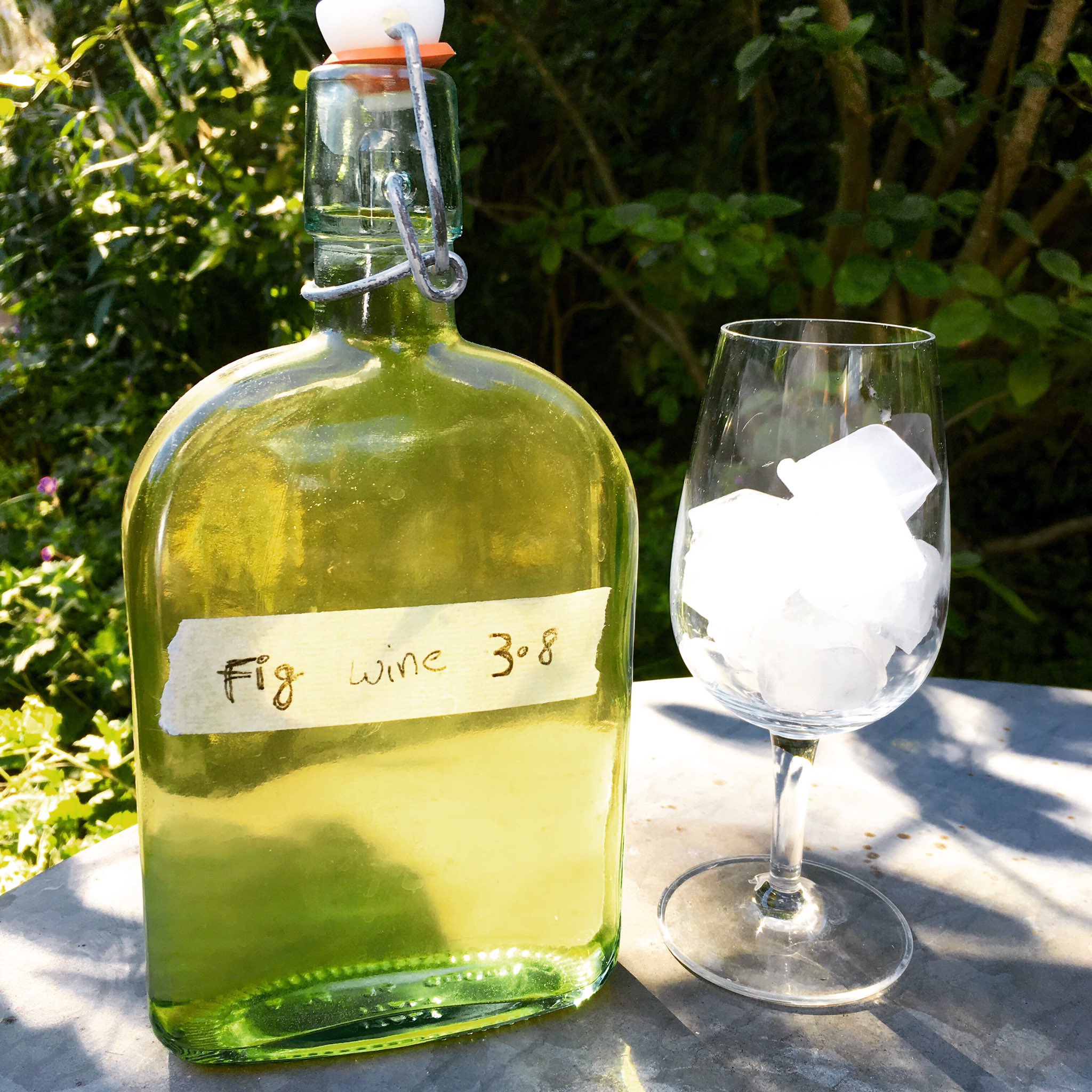 Fig wine 2024