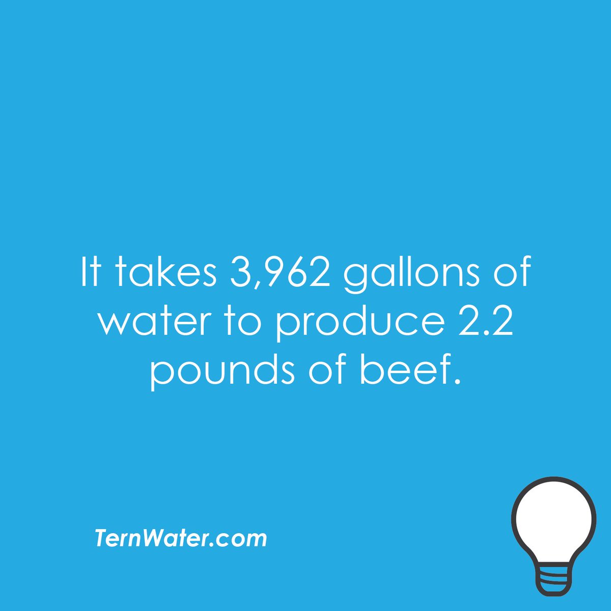 TernWater's tweet photo. Enjoying a BBQ this weekend? Water played a big part in your dinner #ItsYourTern #TernFaucet #TernWater https://t.co/qx3ZAkMqHT