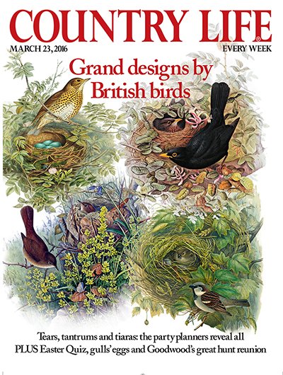 Countrylifemag's tweet photo. This August, subscribe to Country Life from just £19.99: https://t.co/jRbvcPyrtd https://t.co/I21RiACy0T