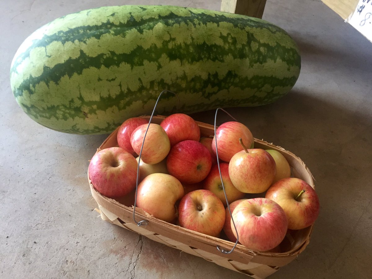 Scott's Orchard tweet media