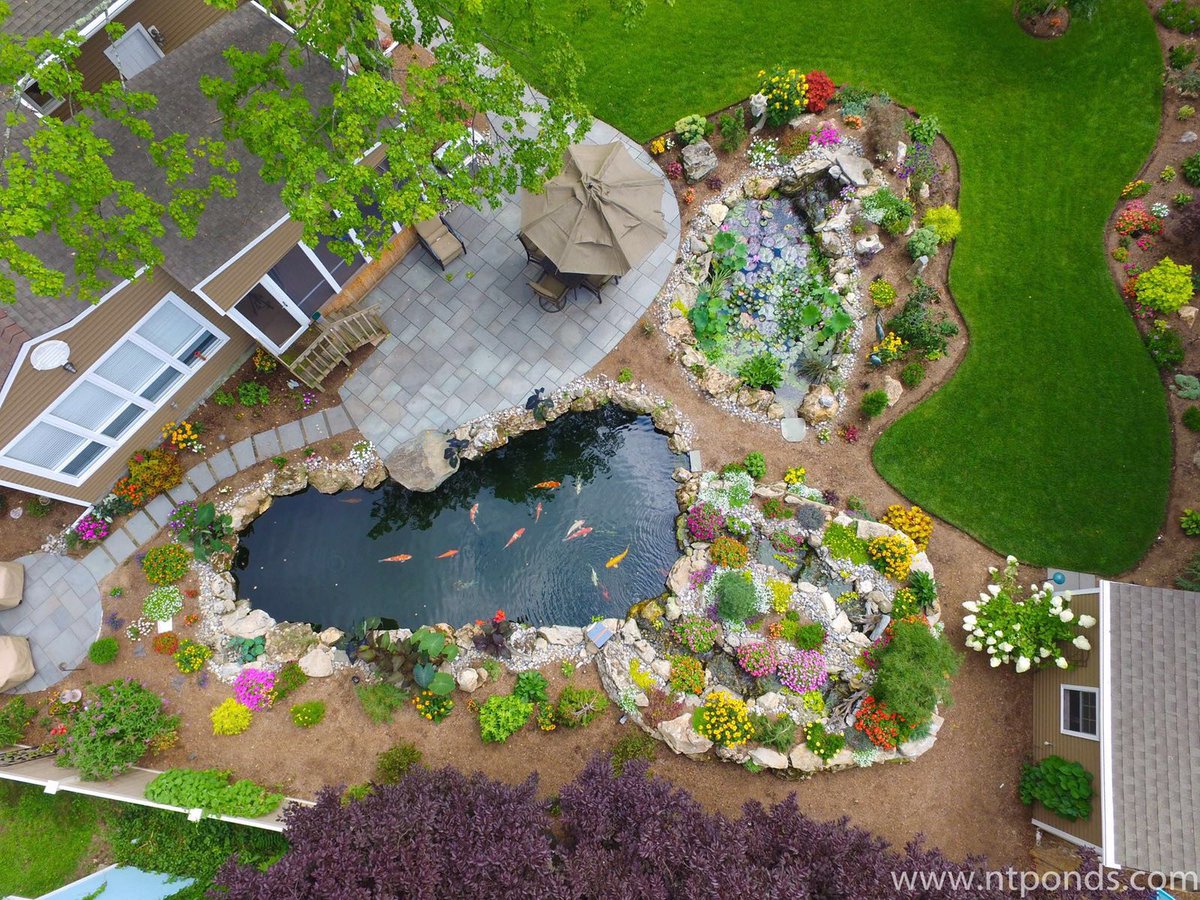 Clarke Koi Ponds inc (@ClarkeKoiPonds) / Posts / X