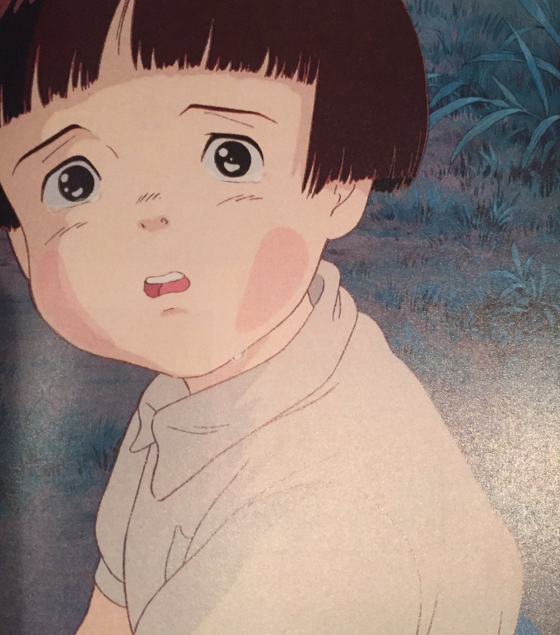 つぶやきジブリ 非公式 なんでホタルすぐ死んでしまうん 火垂るの墓