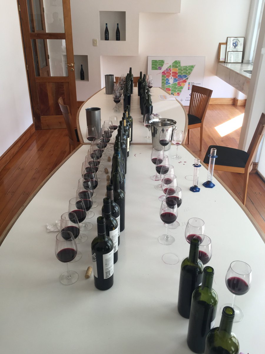 gowineusa's tweet photo. It Is an honor to represent your wines! TASTING at Marcelo Pelleriti Wines. @MarcePelleriti @Abremundoswines https://t.co/drGVkwjA88